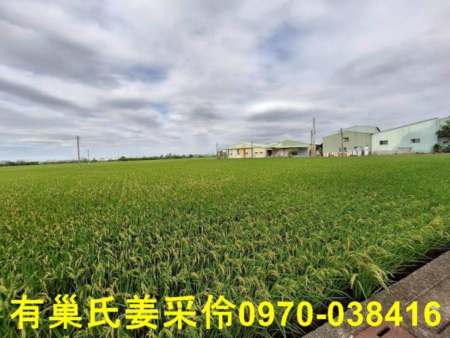 嘉義西區農地-12