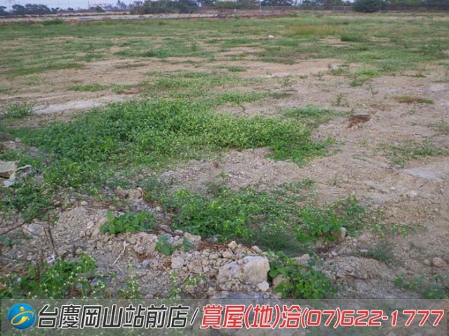 高雄路竹農地-6