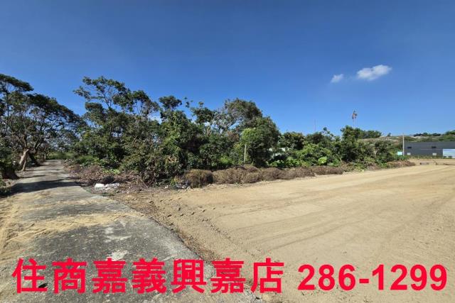 嘉義水上農地-10