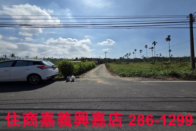 嘉義水上農地-2