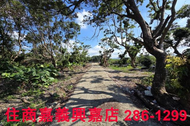 嘉義水上農地-6