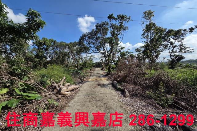 嘉義水上農地-7