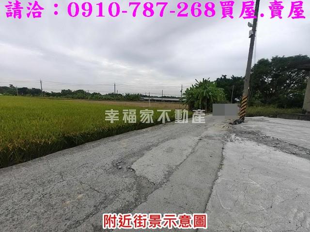 台南官田農地-6