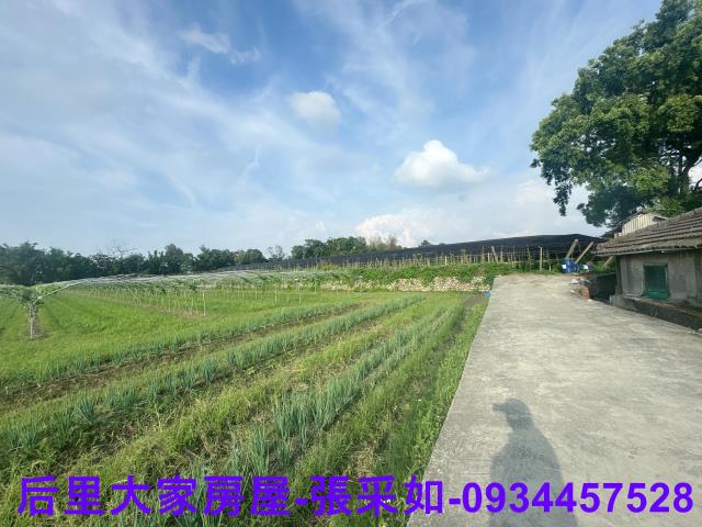 台中后里農地-2
