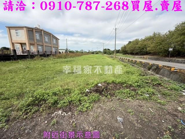 高雄湖內農地-9