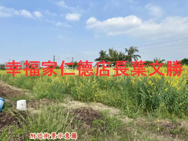 台南新市農地-13