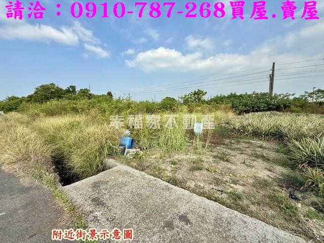 台南新市農地-14