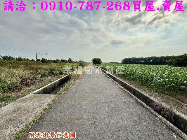 台南新市農地-4