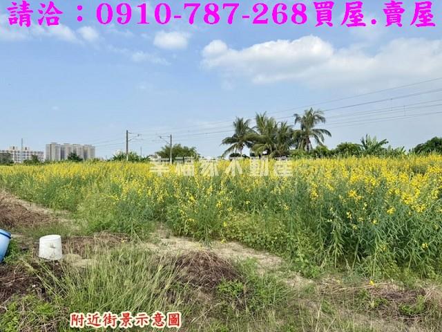 台南新市農地-9