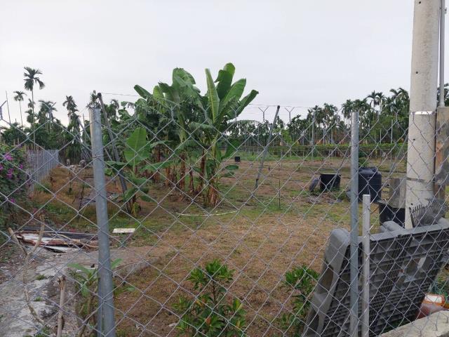 鹽埔農地-7