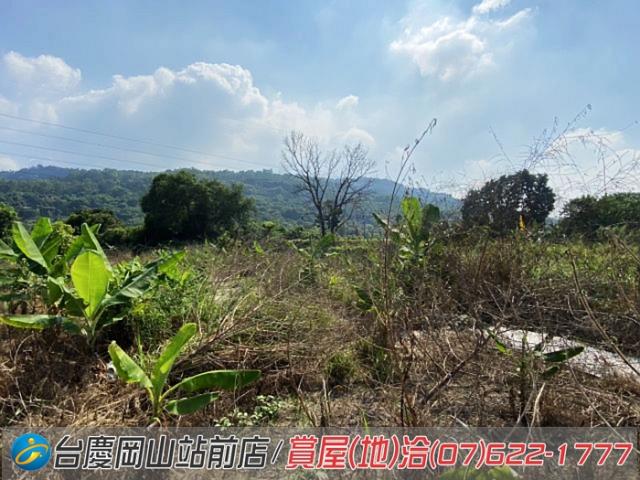 高雄阿蓮農地-9