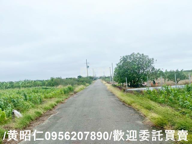台南農地-3