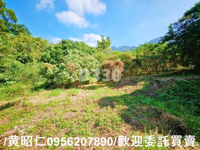 台南農地-13