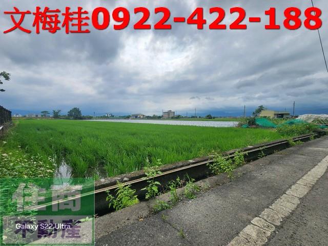 宜蘭壯圍農地-7