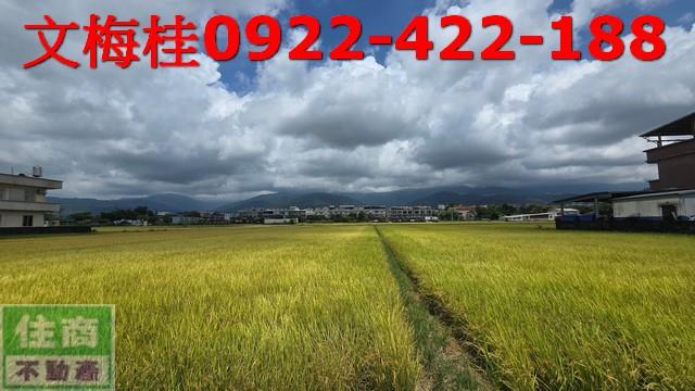 宜蘭宜蘭市農地-2