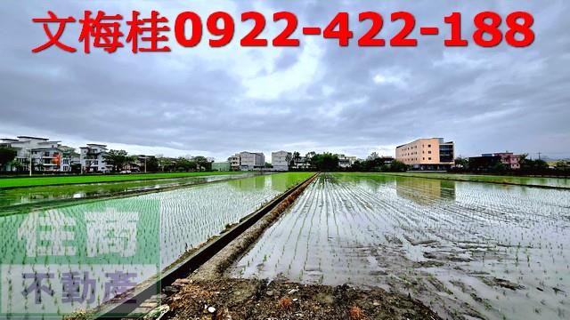 宜蘭宜蘭市農地-5