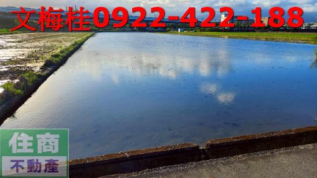 宜蘭宜蘭市農地-4