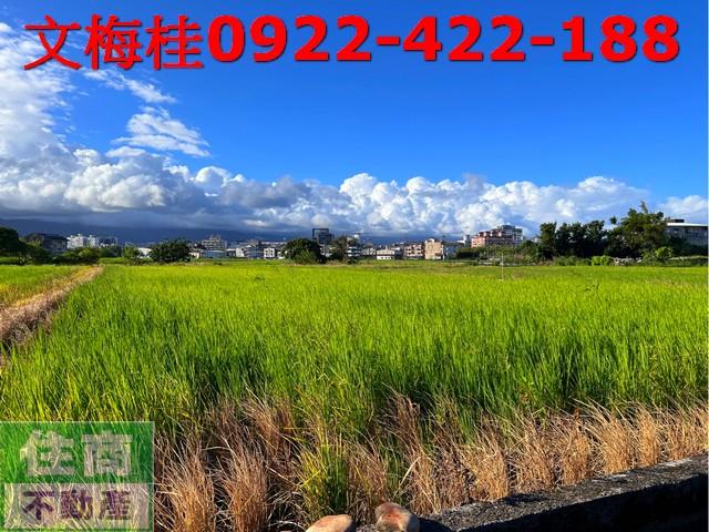 宜蘭宜蘭市農地-7