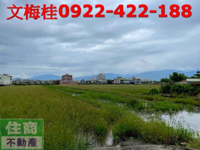 宜蘭宜蘭市農地-7