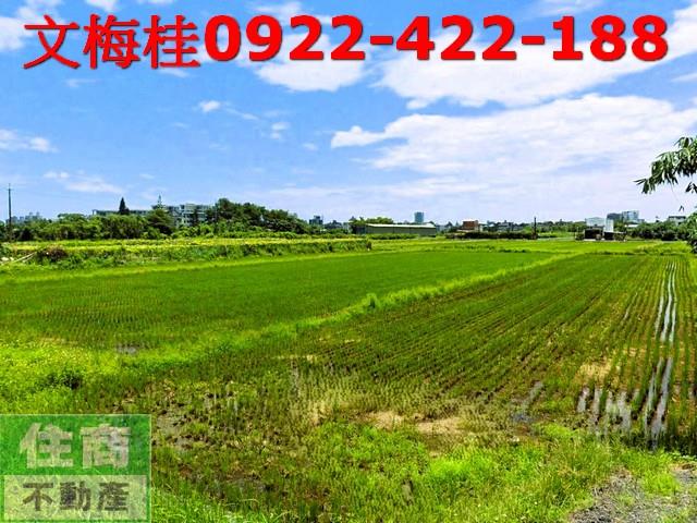 宜蘭宜蘭市農地-2