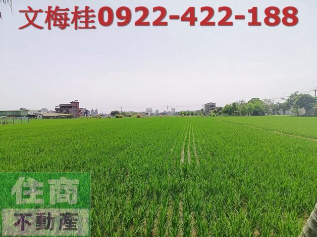 宜蘭宜蘭市農地-4