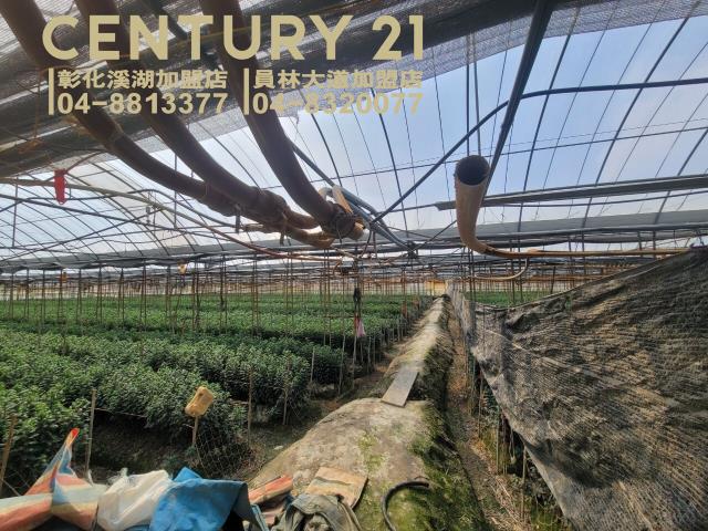 彰化田尾農地-2