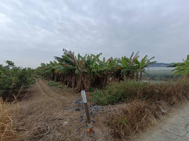 台南玉井農地-11