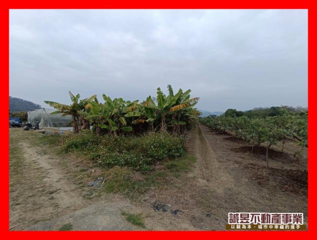 台南玉井農地-13