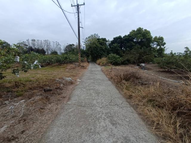 台南玉井農地-4