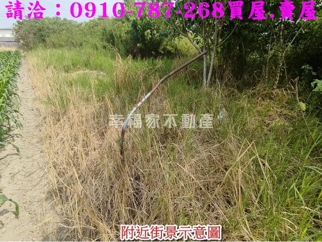 台南下營建地-8