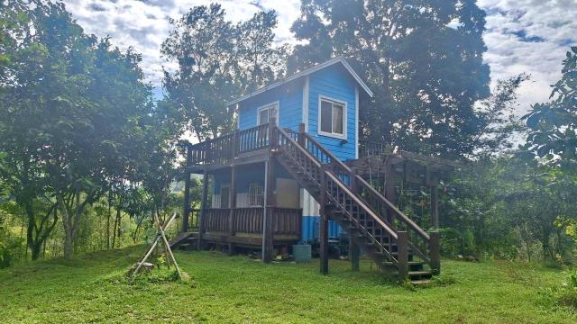 新竹關西農地-1