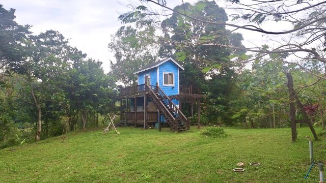 新竹關西農地-2