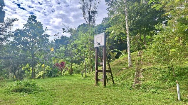 新竹關西農地-3