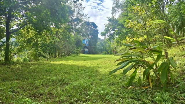 新竹關西農地-4