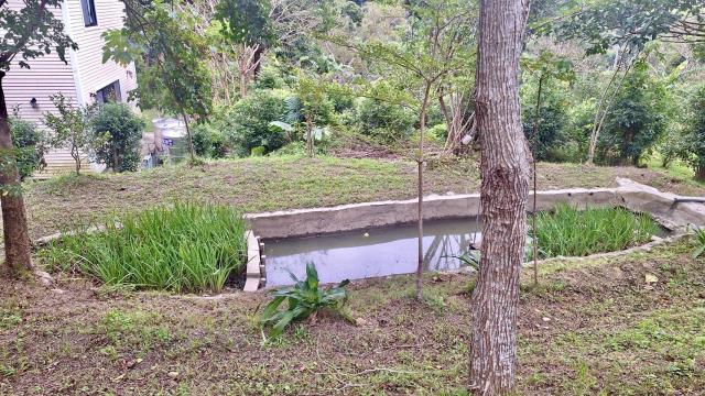 新竹關西農地-5