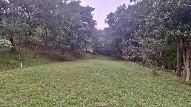 新竹關西農地-6