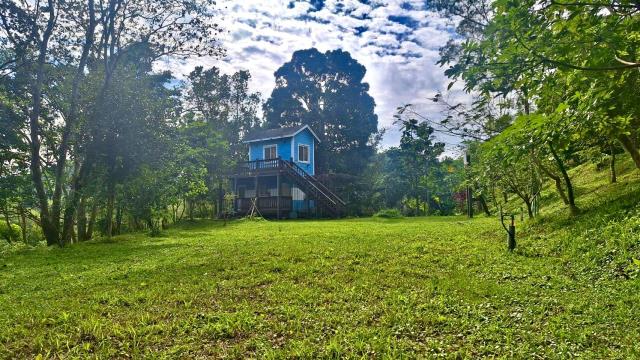 新竹關西農地-8