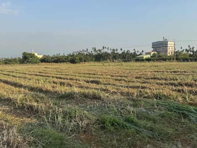 屏東萬丹農地-7