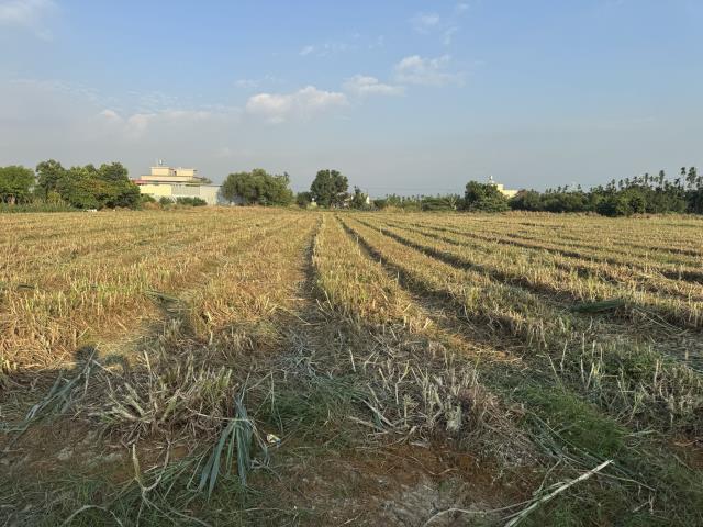 屏東萬丹農地-4