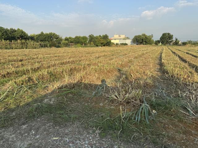 屏東萬丹農地-5