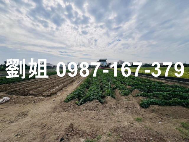 新市農地-2