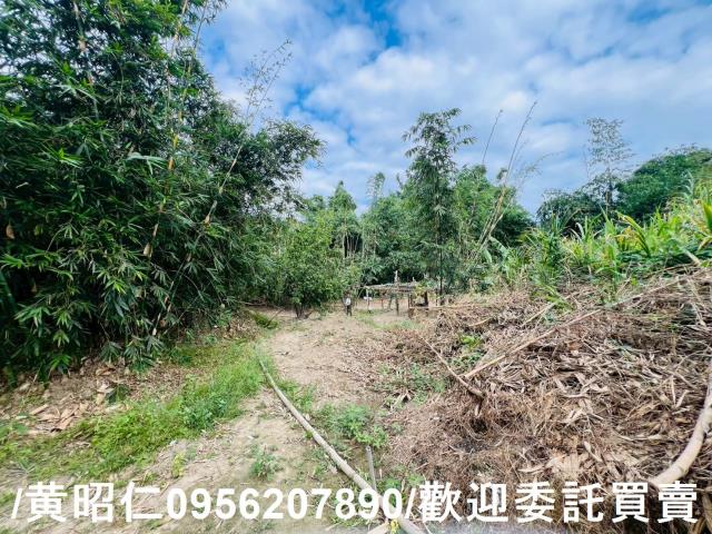 台南農地-4