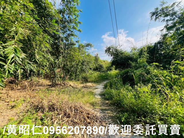 台南農地-8