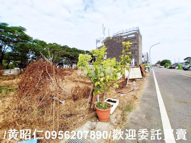 台南建地-3