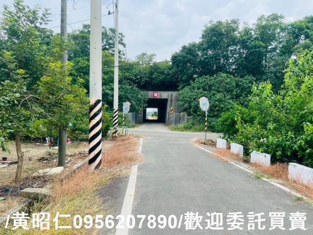 台南善化農地-13