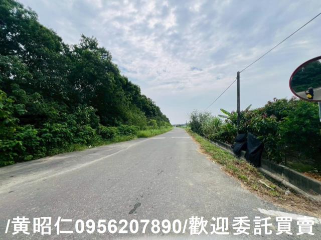 台南善化農地-5