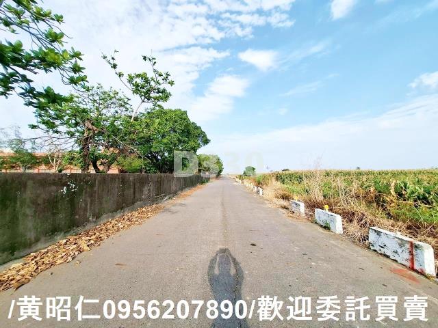 台南七股農地-5