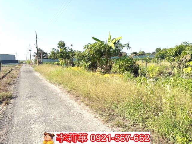 台南新化農地-7