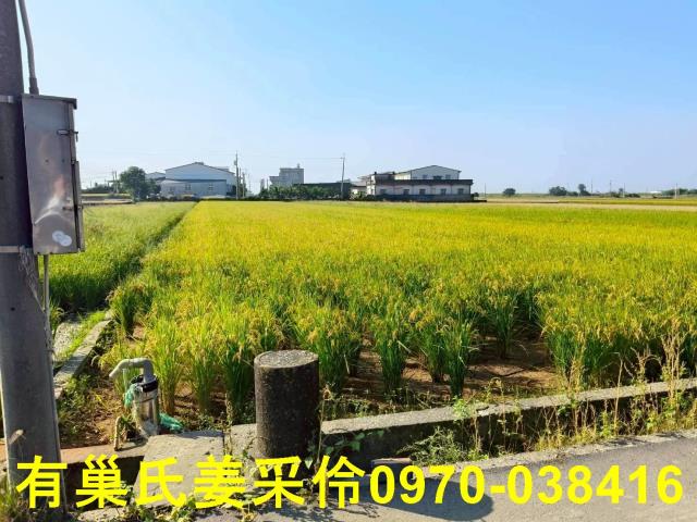 嘉義溪口農地-3