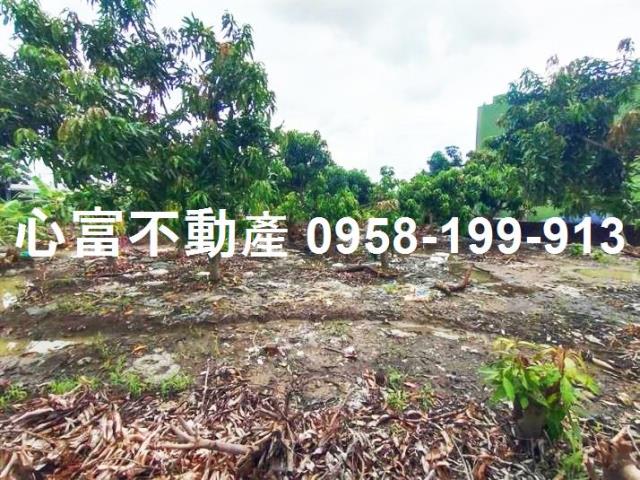 高雄阿蓮建地-1